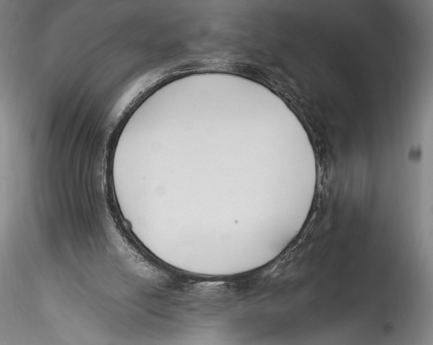 X0000115300054200911301522