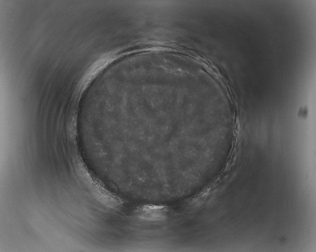 X0000115300055200911301522