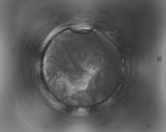 X0000115300056200911301522