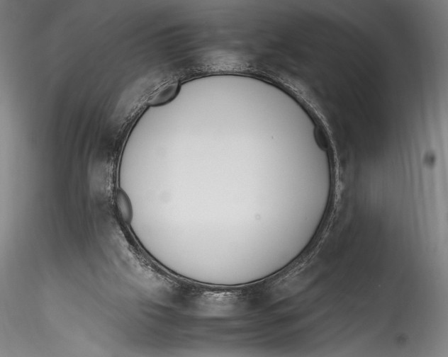 X0000115300057200911301522