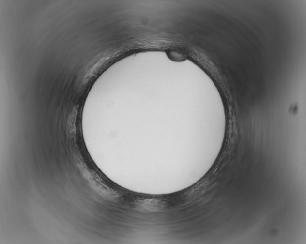 X0000115300058200911301522