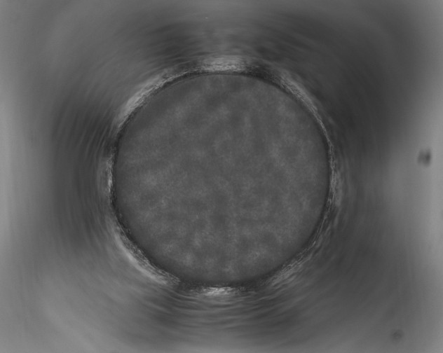 X0000115300059200911301522