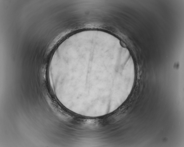 X0000115300060200911301522