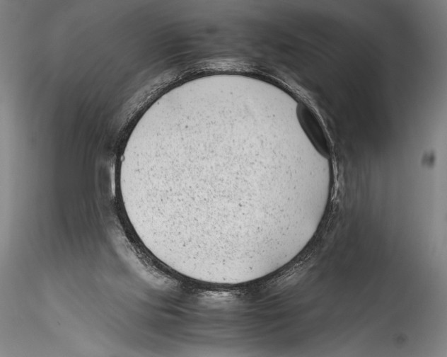 X0000115300061200911301522