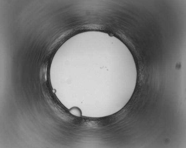 X0000115300062200911301522