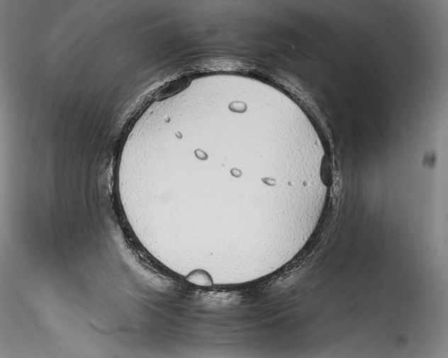 X0000115300063200911301522