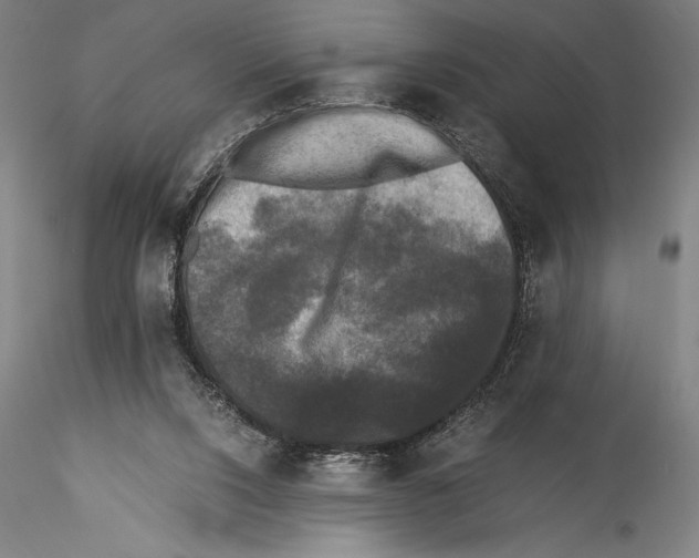 X0000115300064200911301522