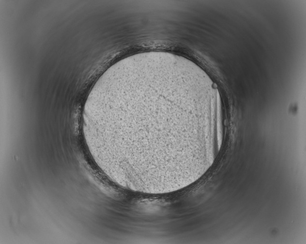 X0000115300065200911301522