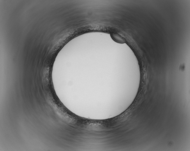 X0000115300066200911301522