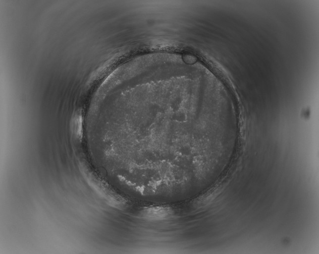 X0000115300067200911301522