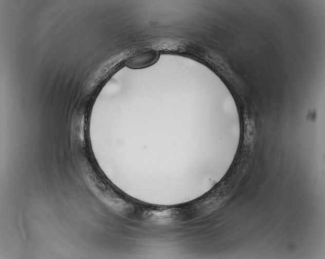 X0000115300068200911301522