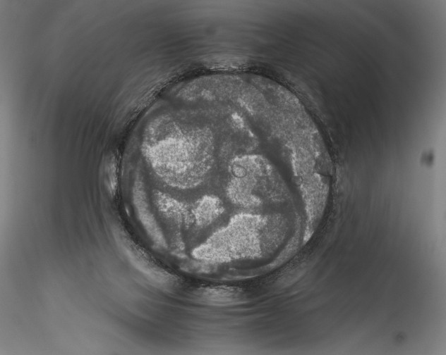 X0000115300069200911301522