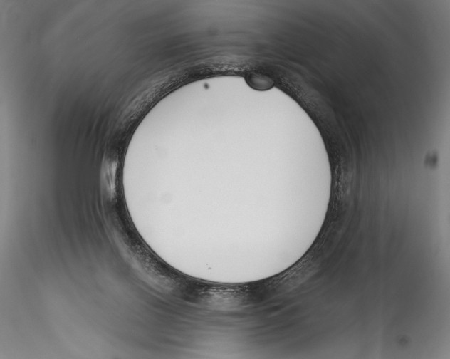 X0000115300070200911301522