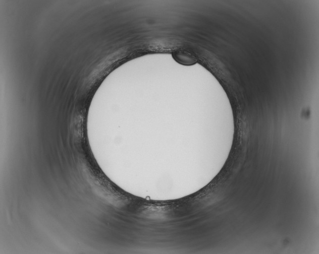 X0000115300071200911301522