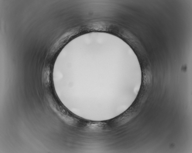 X0000115300072200911301522