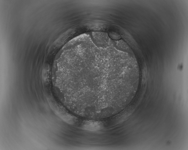 X0000115300073200911301522