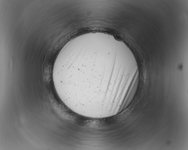 X0000115300074200911301522