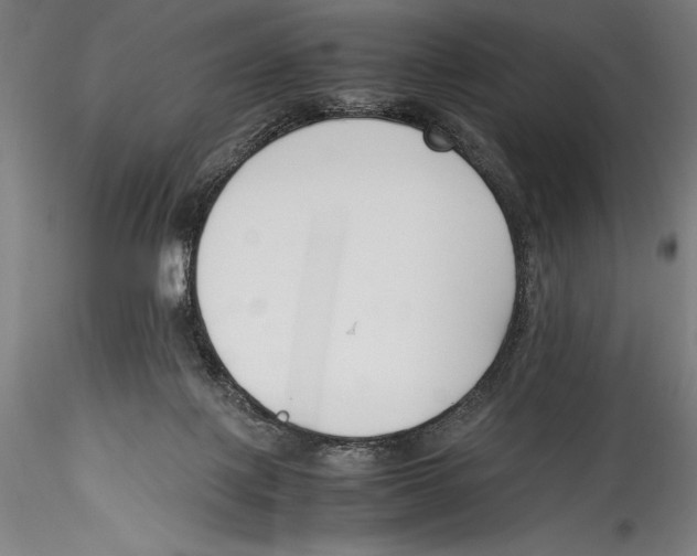 X0000115300075200911301522