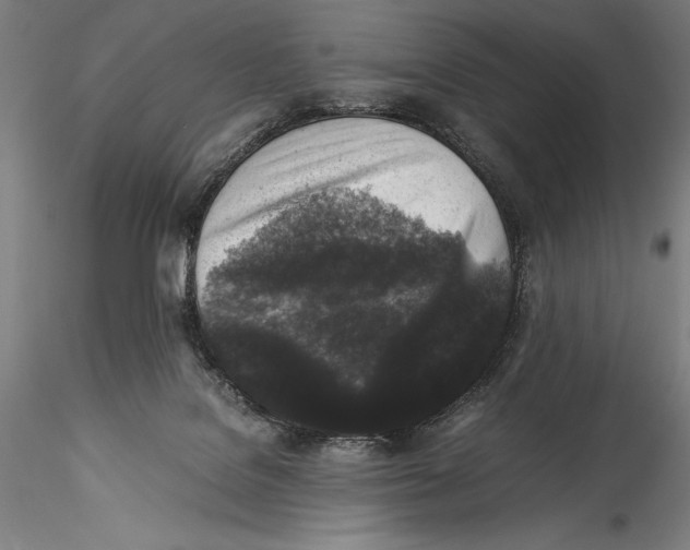 X0000115300076200911301522