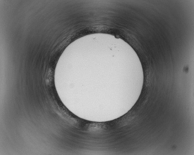 X0000115300077200911301522