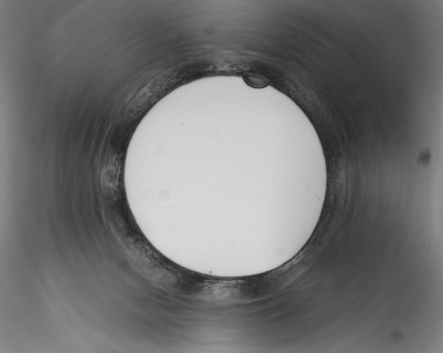 X0000115300078200911301522