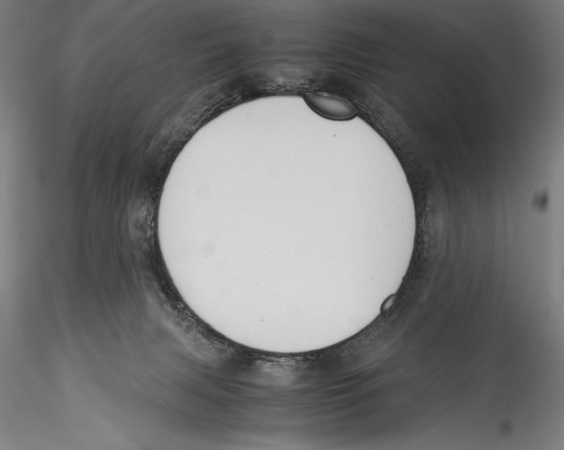 X0000115300079200911301522