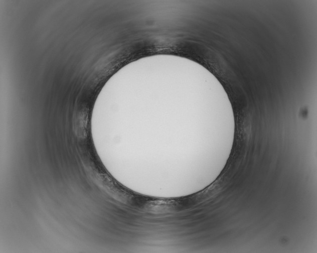 X0000115300082200911301523