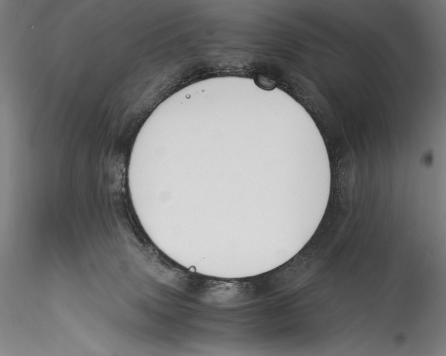 X0000115300083200911301523