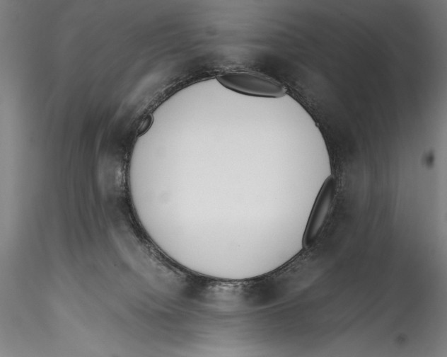 X0000115300084200911301523