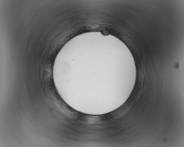 X0000115300085200911301523