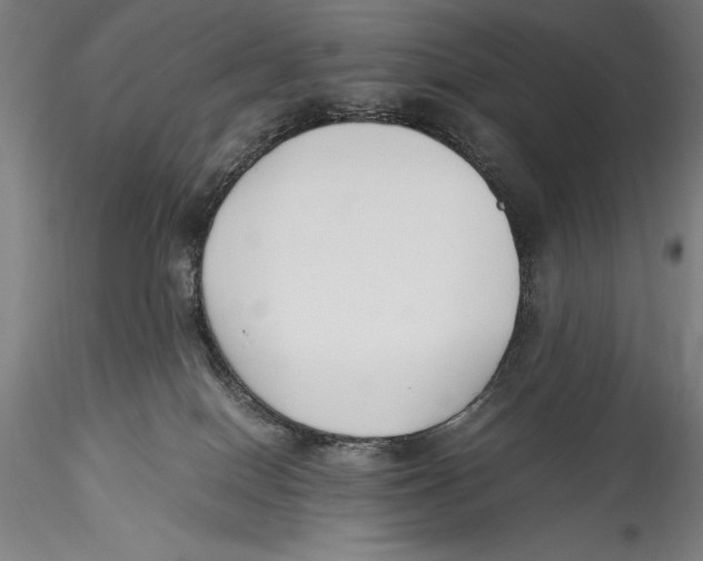 X0000115300086200911301523