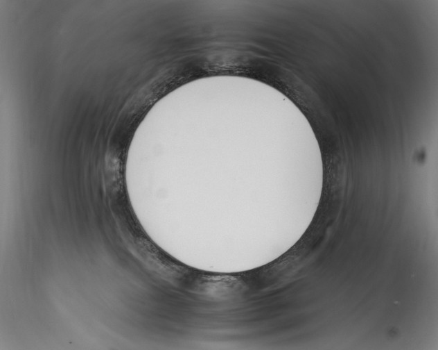 X0000115300087200911301523