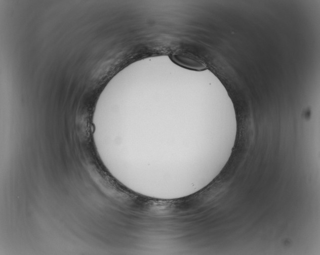 X0000115300088200911301523