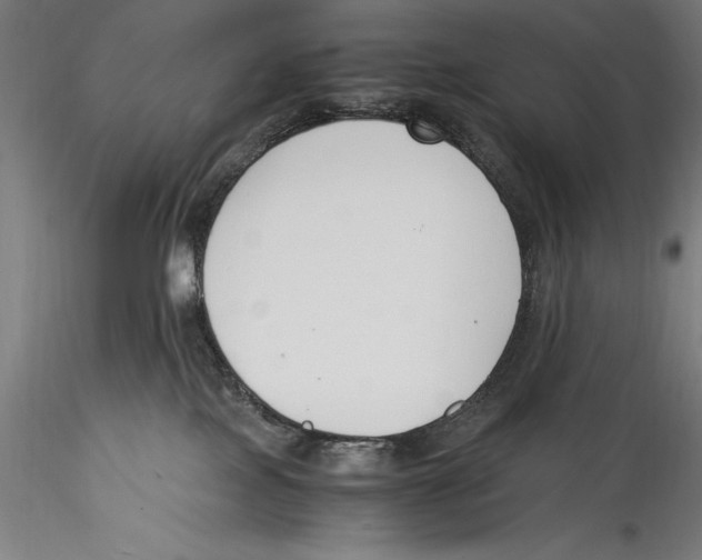 X0000115300089200911301523