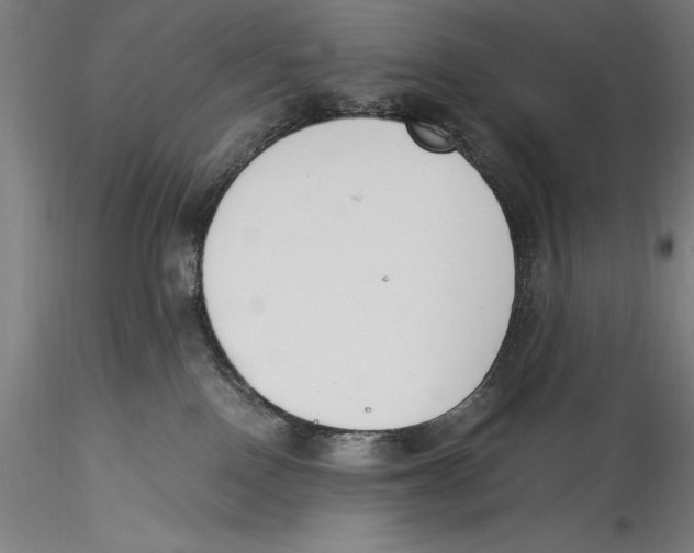 X0000115300090200911301523