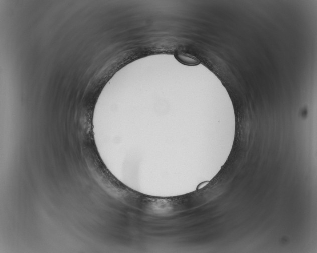 X0000115300091200911301523