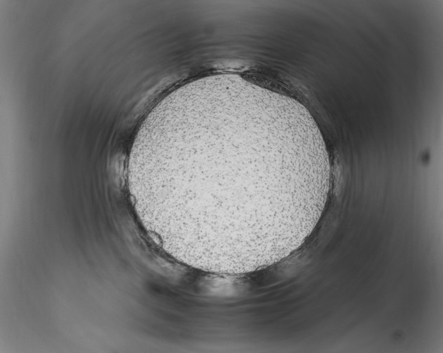 X0000115300093200911301523