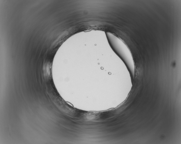 X0000115300094200911301523