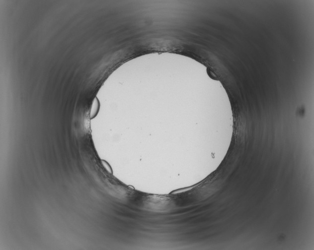 X0000115300095200911301523