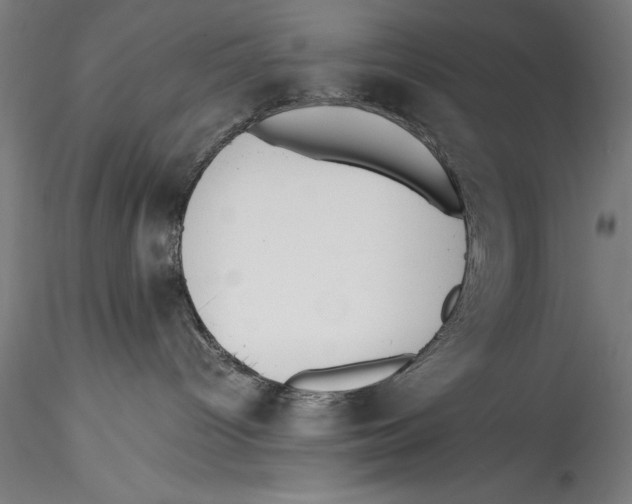 X0000115300096200911301523