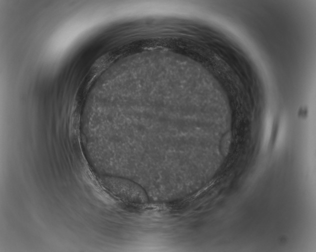 X0000115300099200911301522