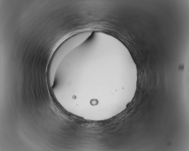 X0000115300100200911301522