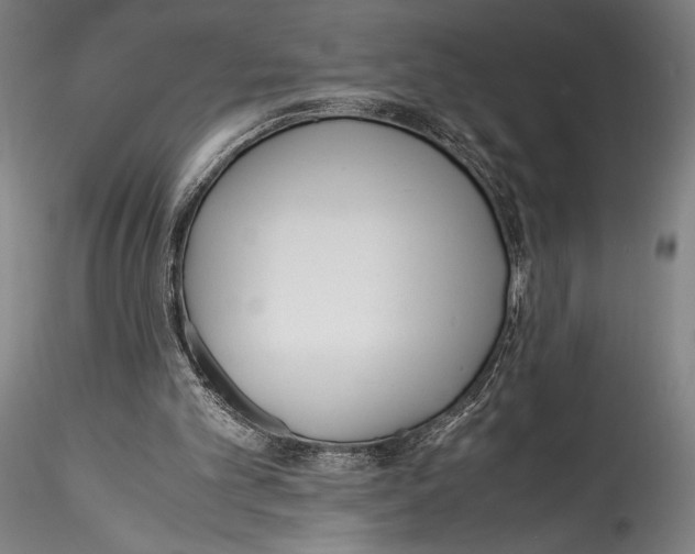 X0000115300101200911301522