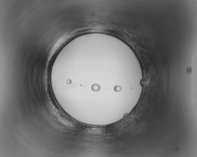 X0000115300102200911301522