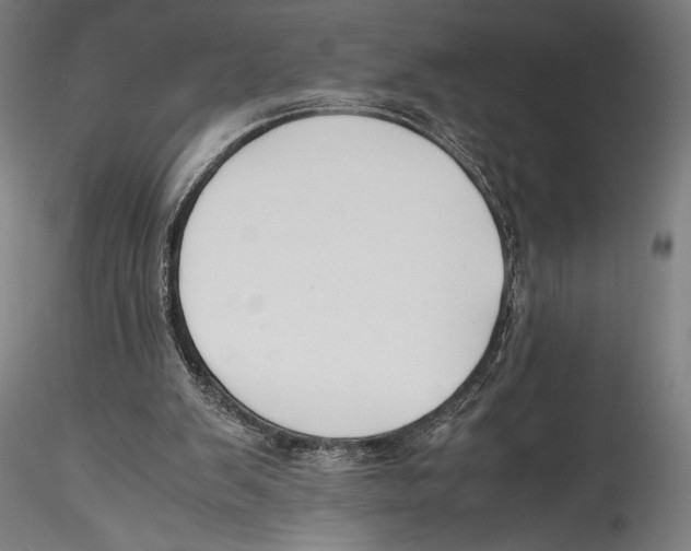 X0000115300103200911301522