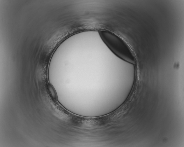 X0000115300105200911301522