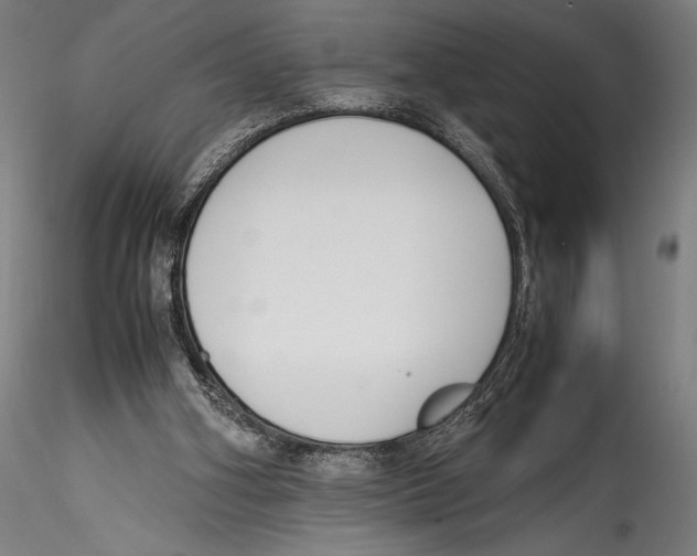 X0000115300106200911301522