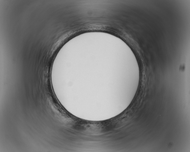 X0000115300107200911301522