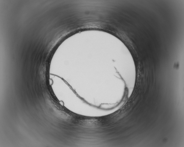 X0000115300108200911301522