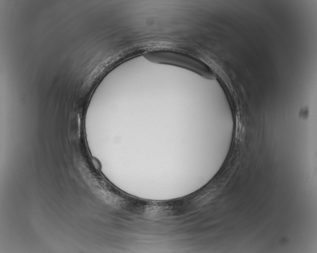 X0000115300109200911301522